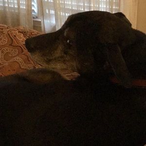 Meet your Posher, Stacey